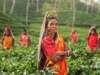 New Ways to Discover Beautiful India and Indonesia